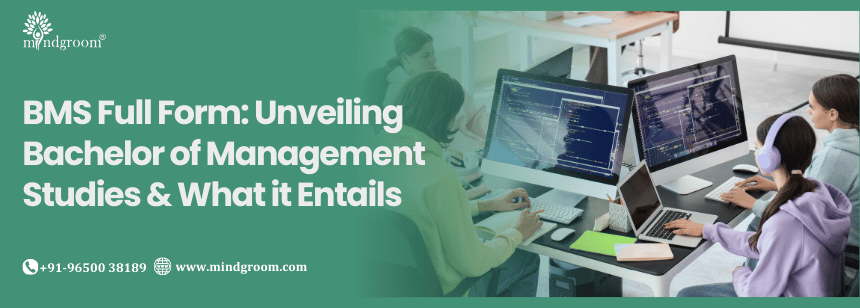 BMS Full Form: Unveiling Bachelor of Management Studies & What it Entails