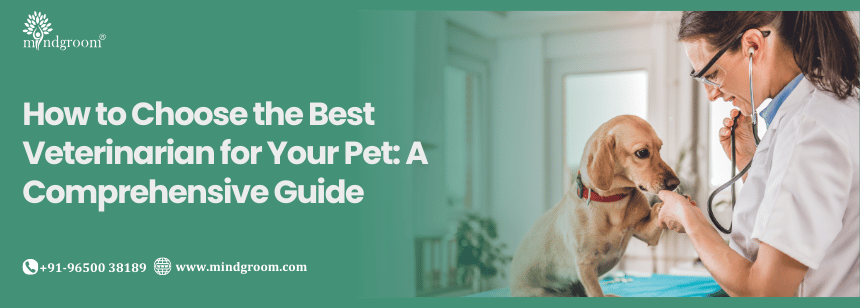 How to Choose the Best Veterinarian for Your Pet: A Comprehensive Guide