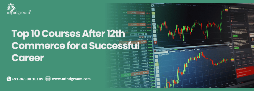 Top 10 Courses After 12th Commerce for a Successful Career