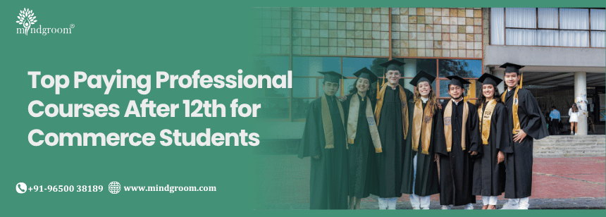 Top Paying Professional Courses After 12th for Commerce Students