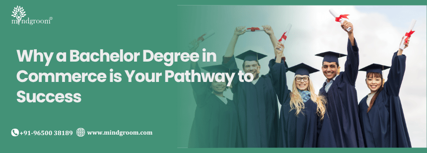 Why a Bachelor Degree in Commerce is Your Pathway to Success